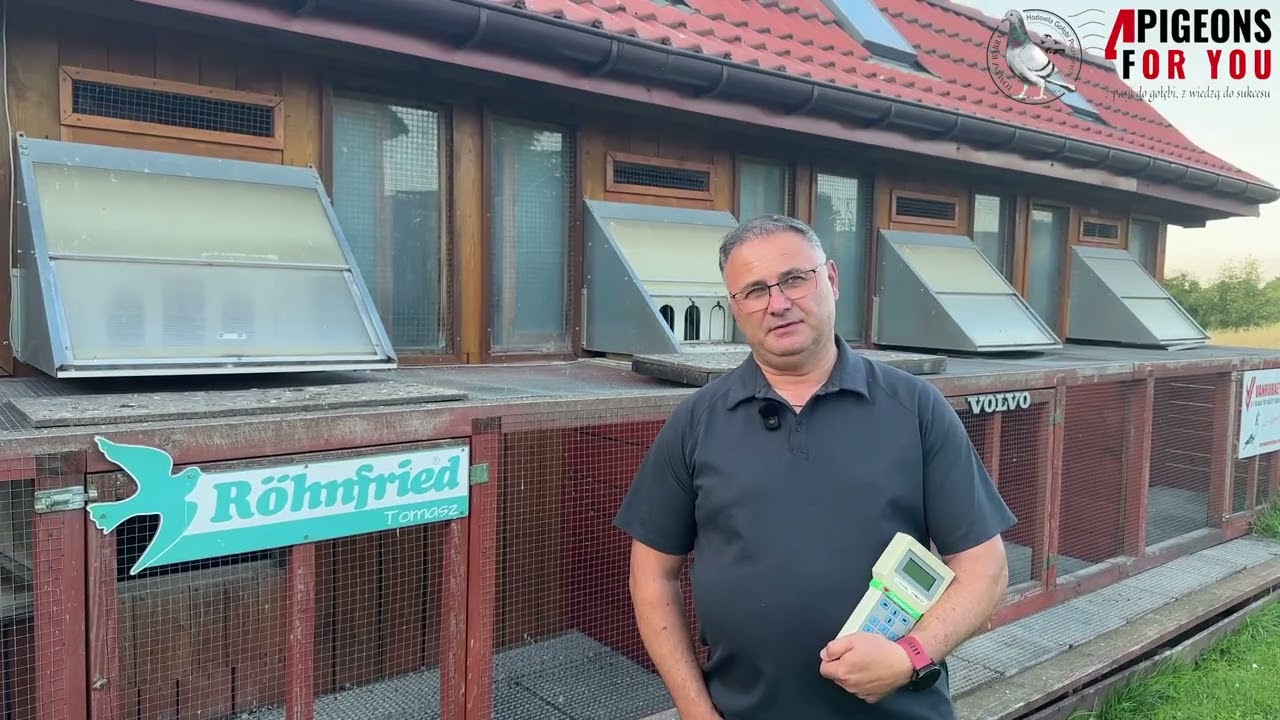 Tragiczna ostatnia 700-tka… Gołębie nie wróciły do domu