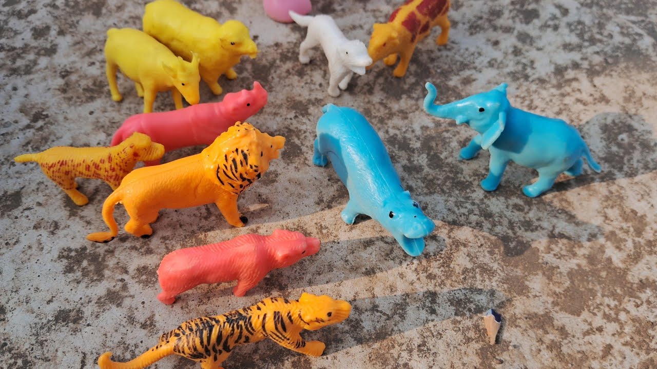 देखो baccho गुड़िया अपने साथी के साथ मिले bahut Sare animals bacchon