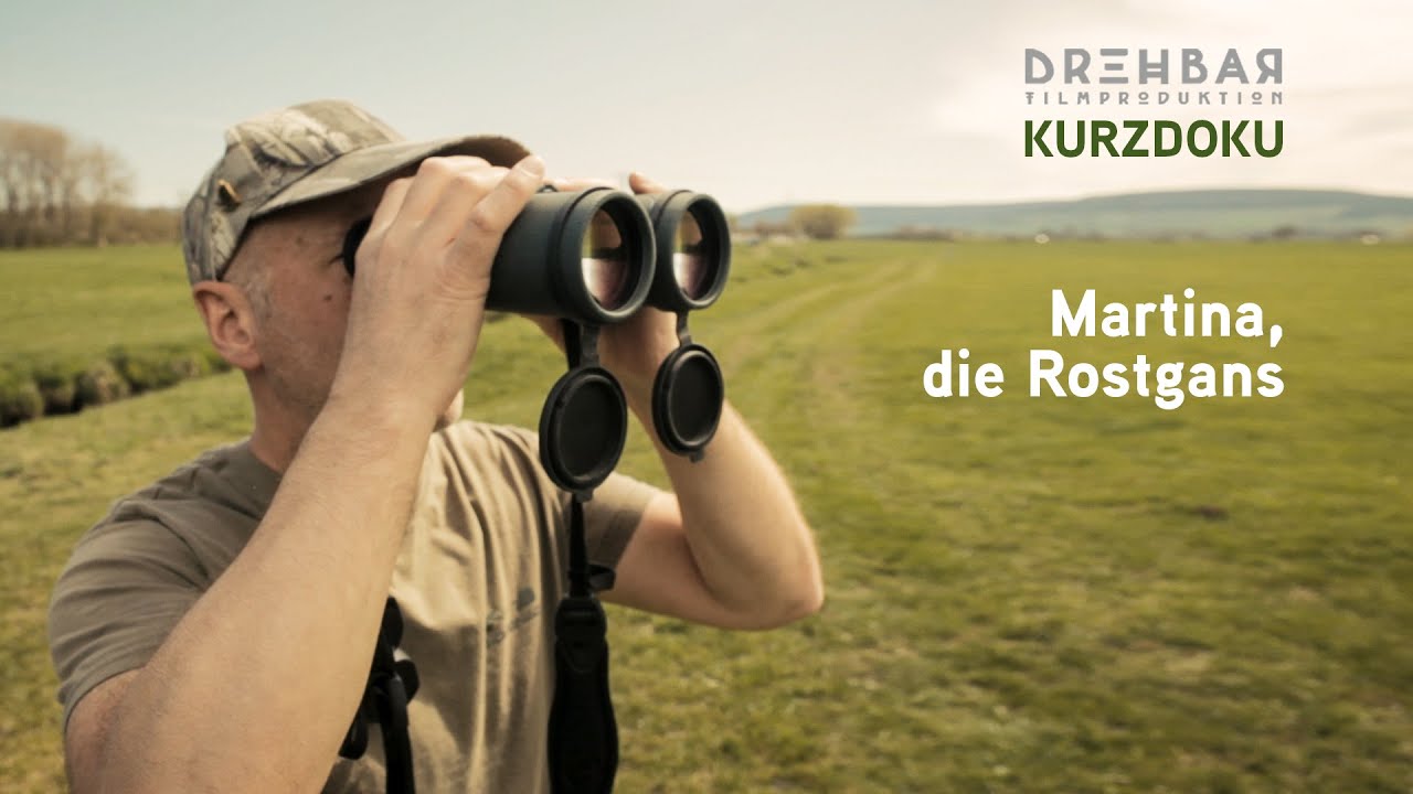 Martina, die Rostgans &ndash;&nbsp;Kurzdoku
