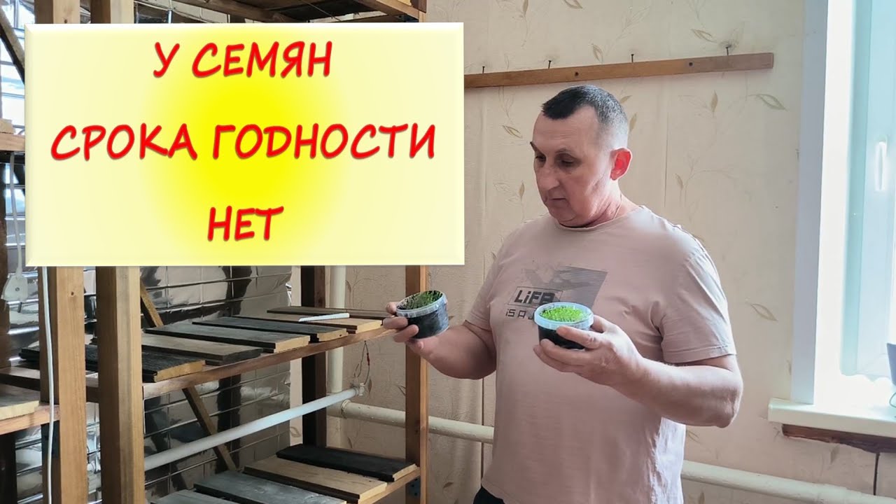 Проверяем Семена на всхожесть. СЕЕМ ТАБАК разными способами. СПАСАЕМ КРЫШУ от снега. ЖИЗНЬ В ДЕРЕВНЕ