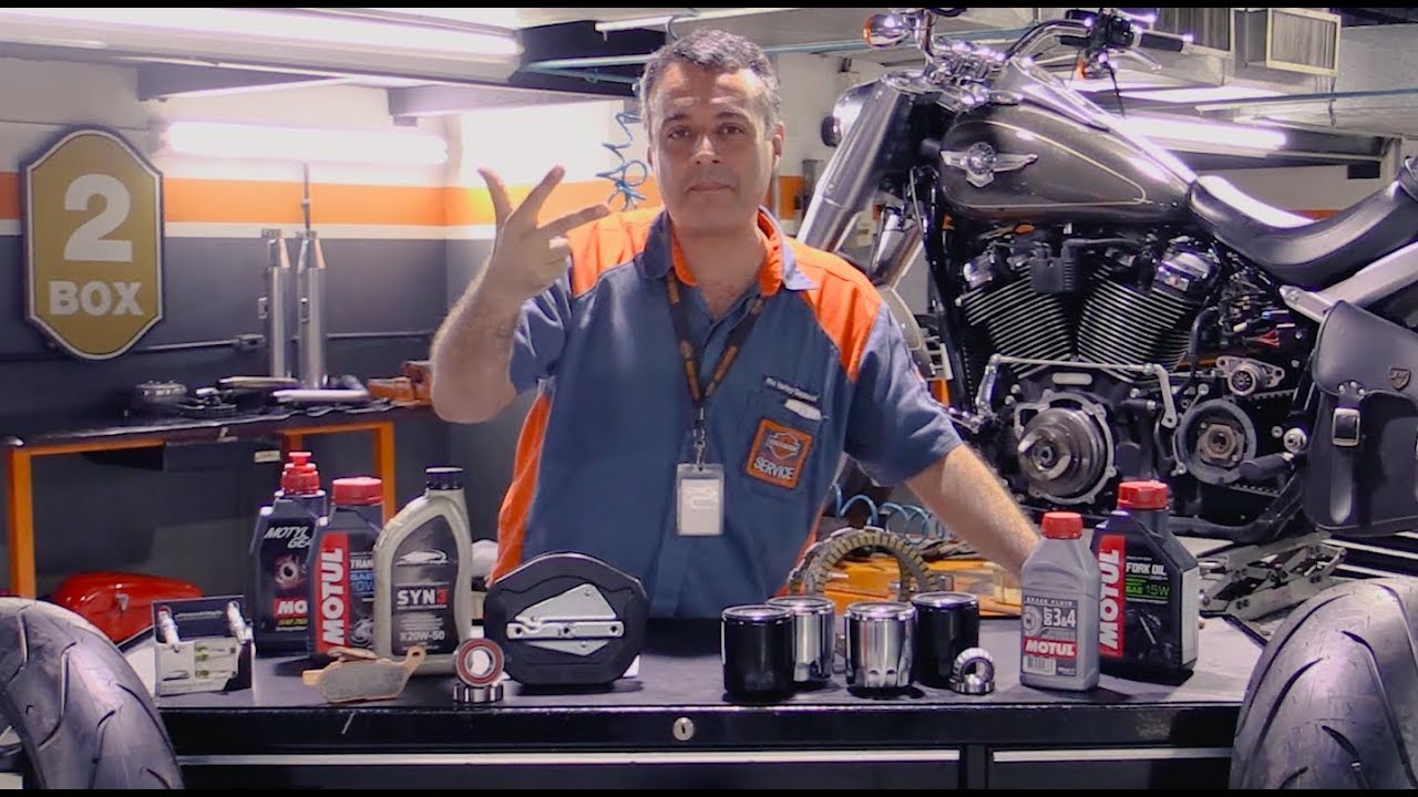 Revisões em uma Harley-Davidson®