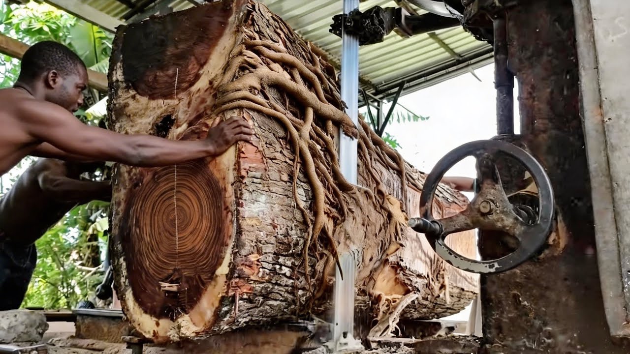 Sawing this rare wood without theory is tantamount to suicide