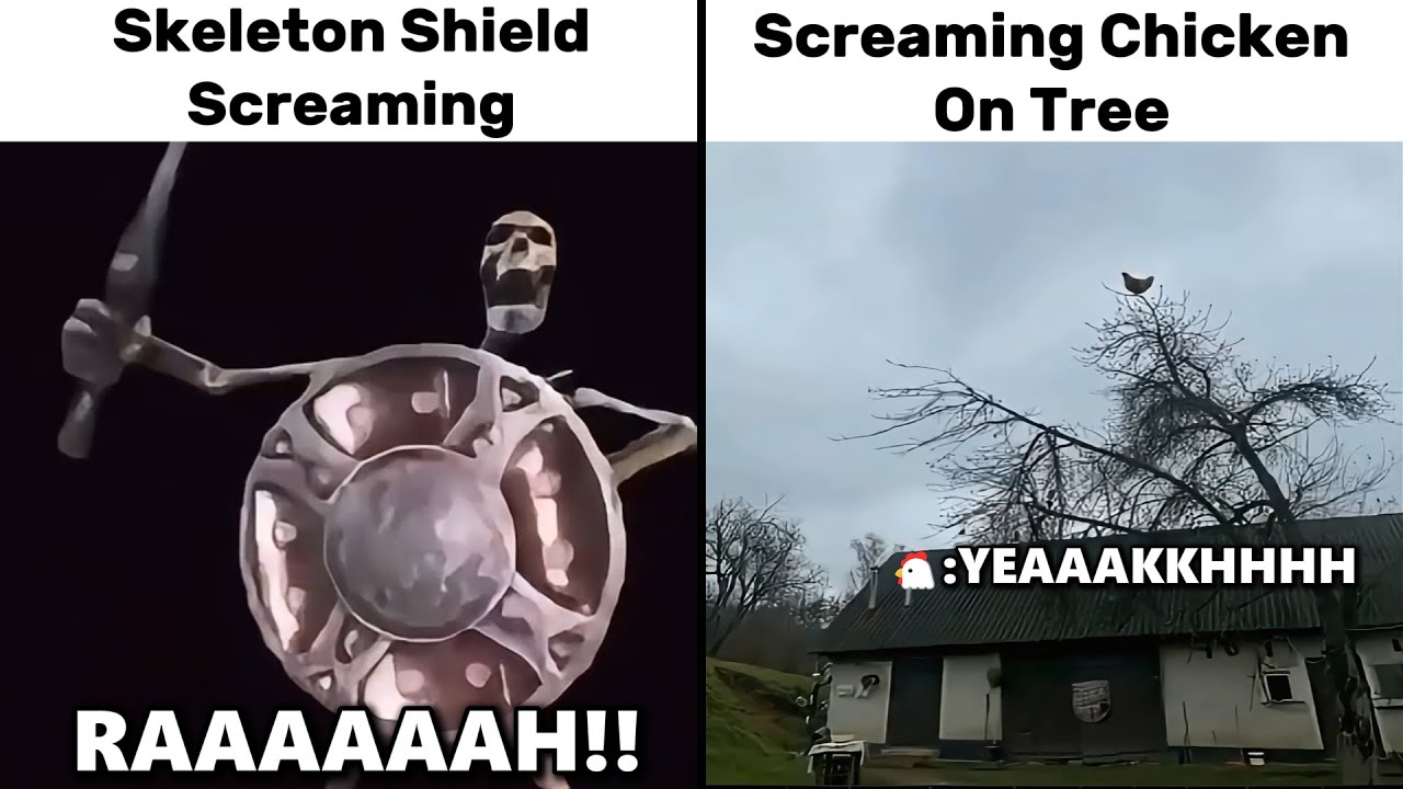 Skeleton Shield Screaming vs Screaming Chicken On Tree Meme