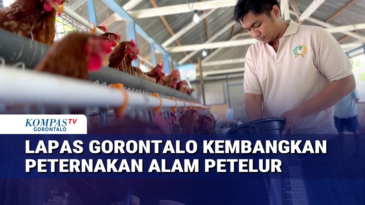 Lapas Kelas IIA Gorontalo Kembangkan Peternakan Ayam Petelur