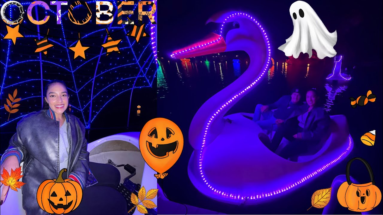 Vlog: Day in the Life October (WFH & Illuminated Swan boat date night)