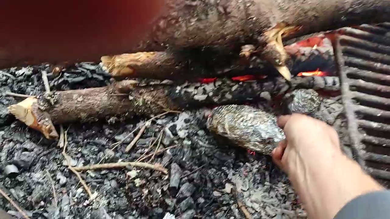 First Campfire Potato 