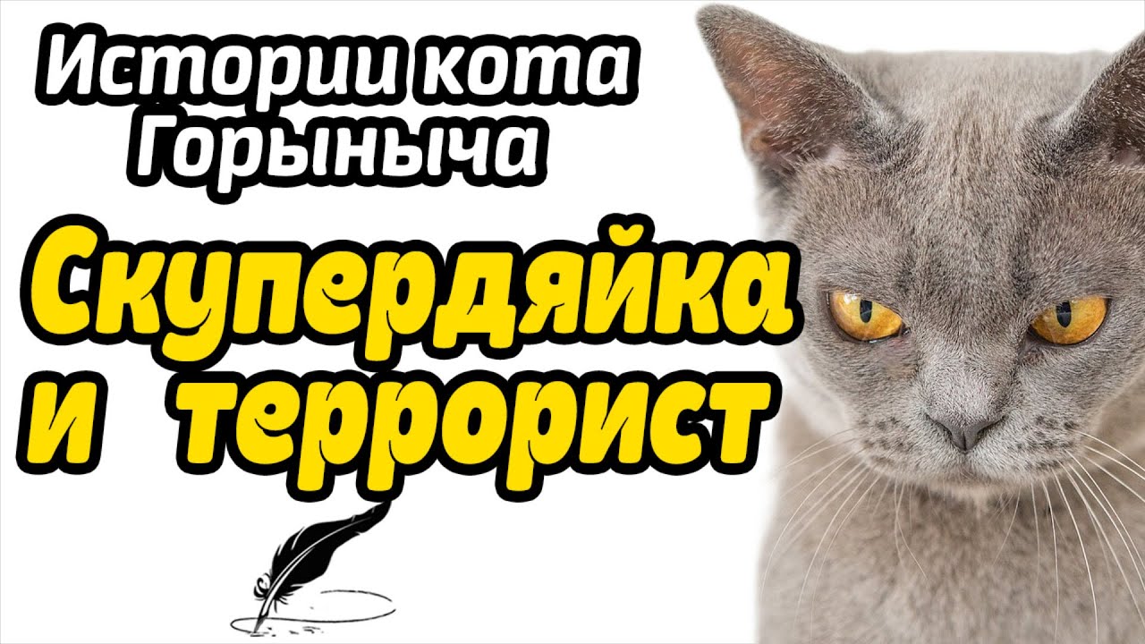 Скупердяйка и террорист