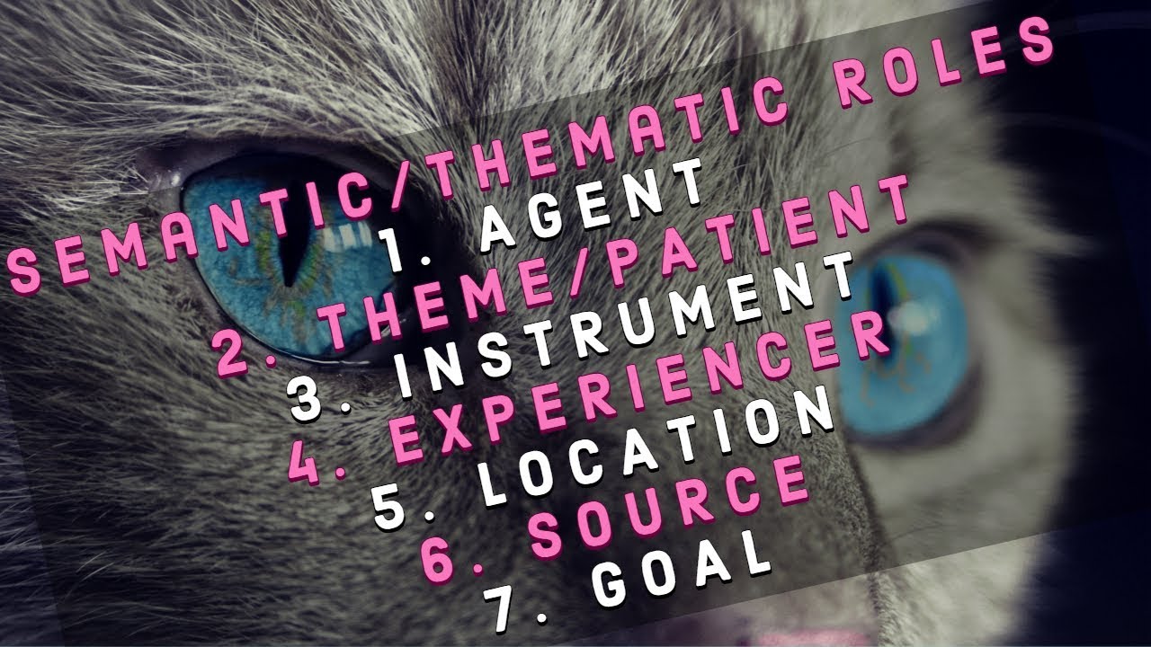 Semantic/Thematic Roles | Agent | Theme/Patient | Instrument | Experiencer | Location | Source, Goal