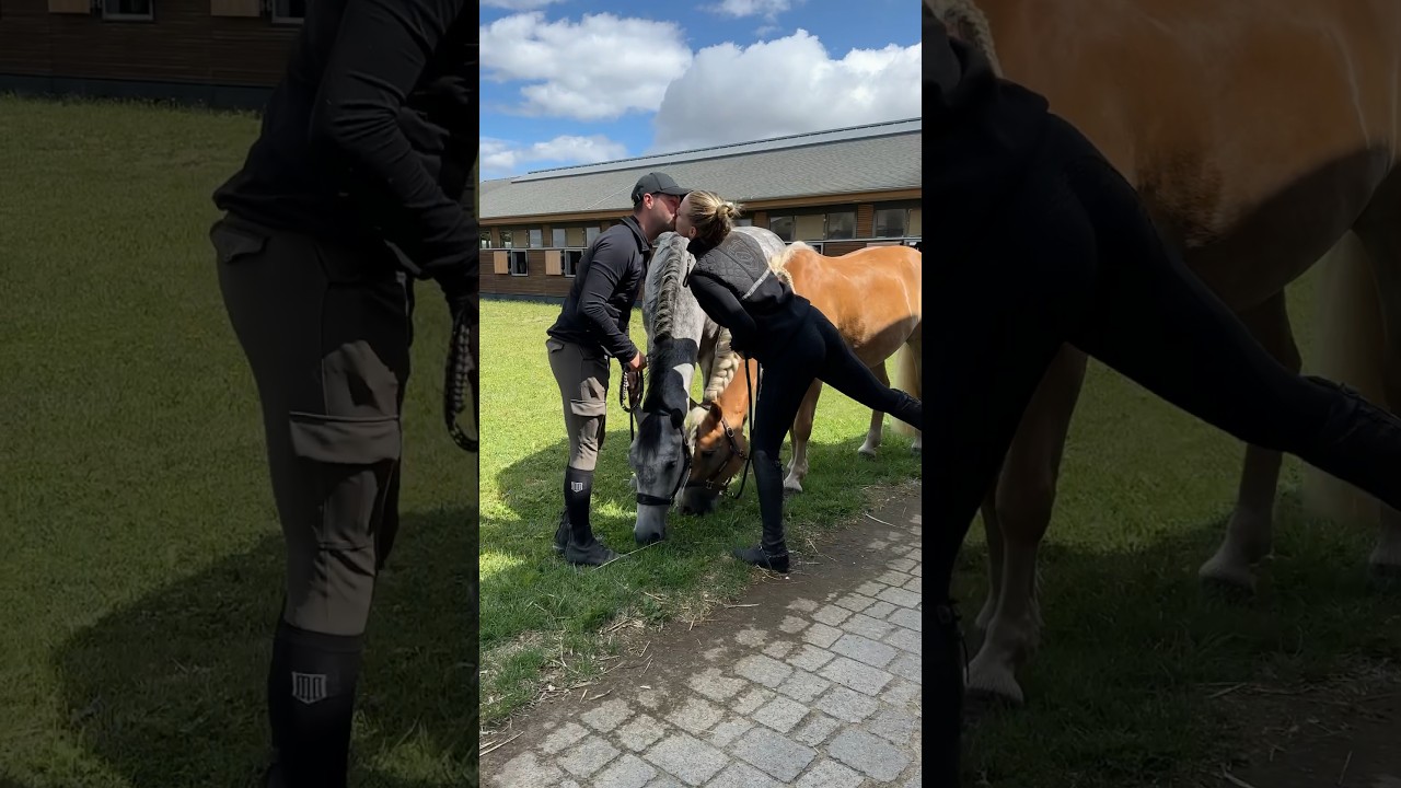 Mein Freund trifft mein neues Pferd ❤️ #equestrian #pferd #horse