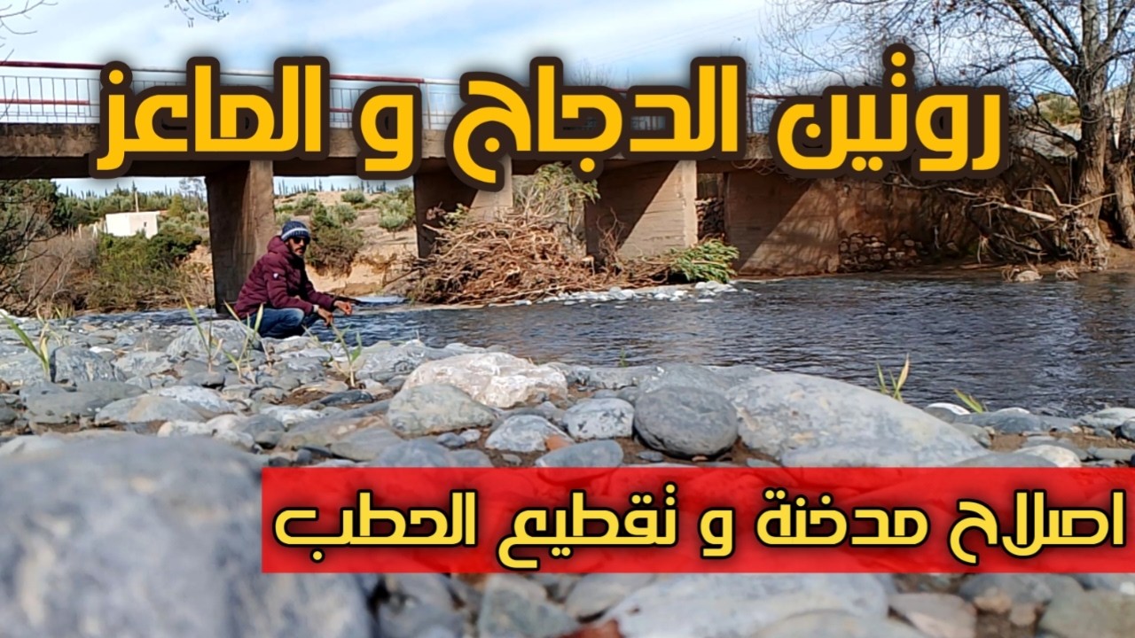 يوم جميل في ريف جبال المغرب | تربية الدواجن والماعز | مساعدة الجيران 🙏