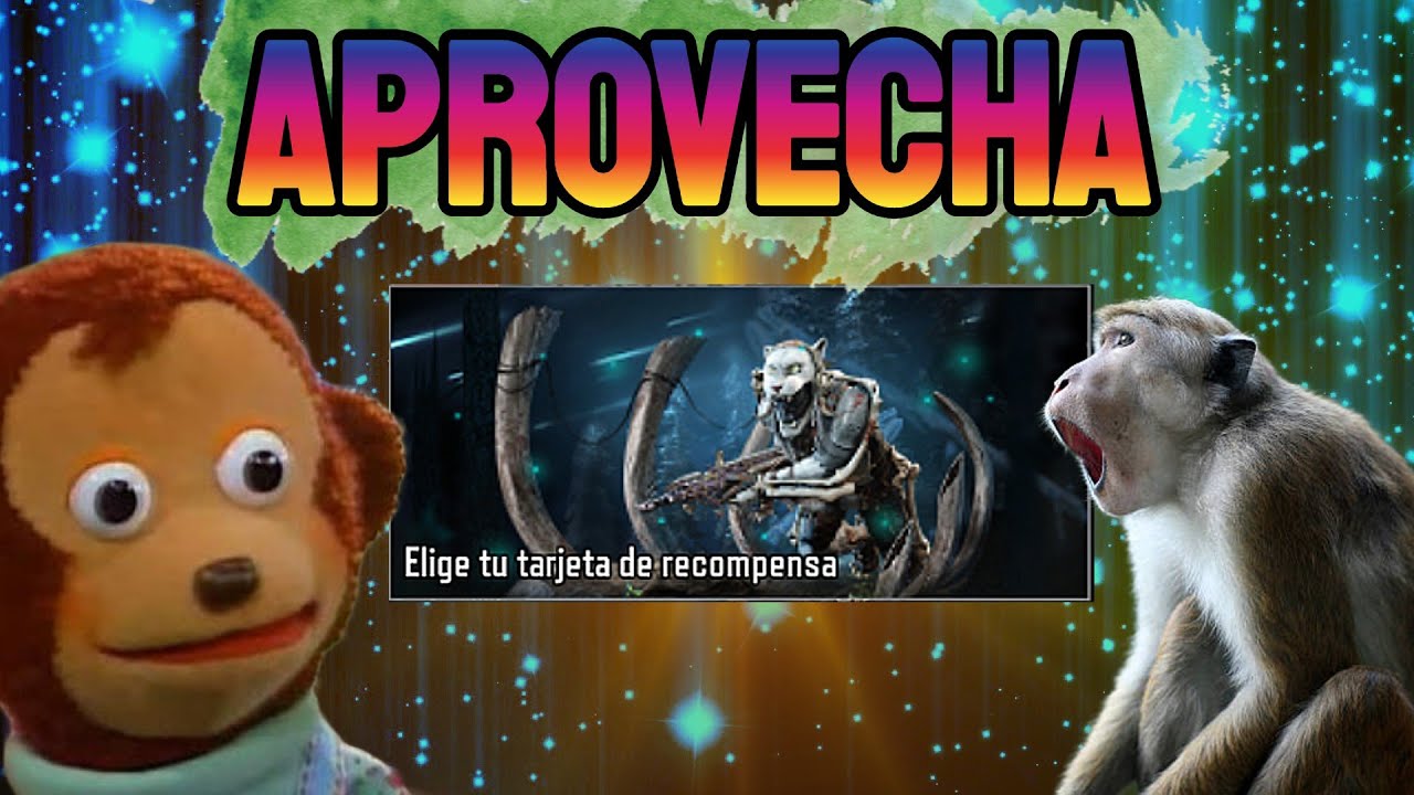Oferta DRH Legendaria Barata // Aprovecha.