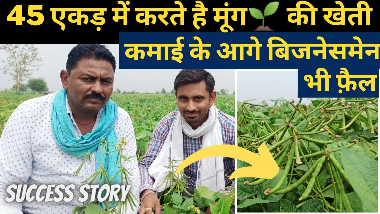 मूंग की खेती ने इस किसान की जिंदगी बदल दी | Farming taknik | #success_story | mung ki kheti