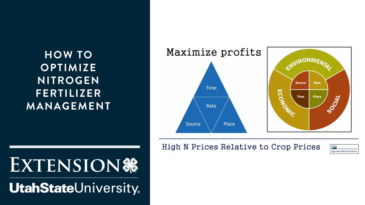 How to Optimize Nitrogen Fertilizer Management