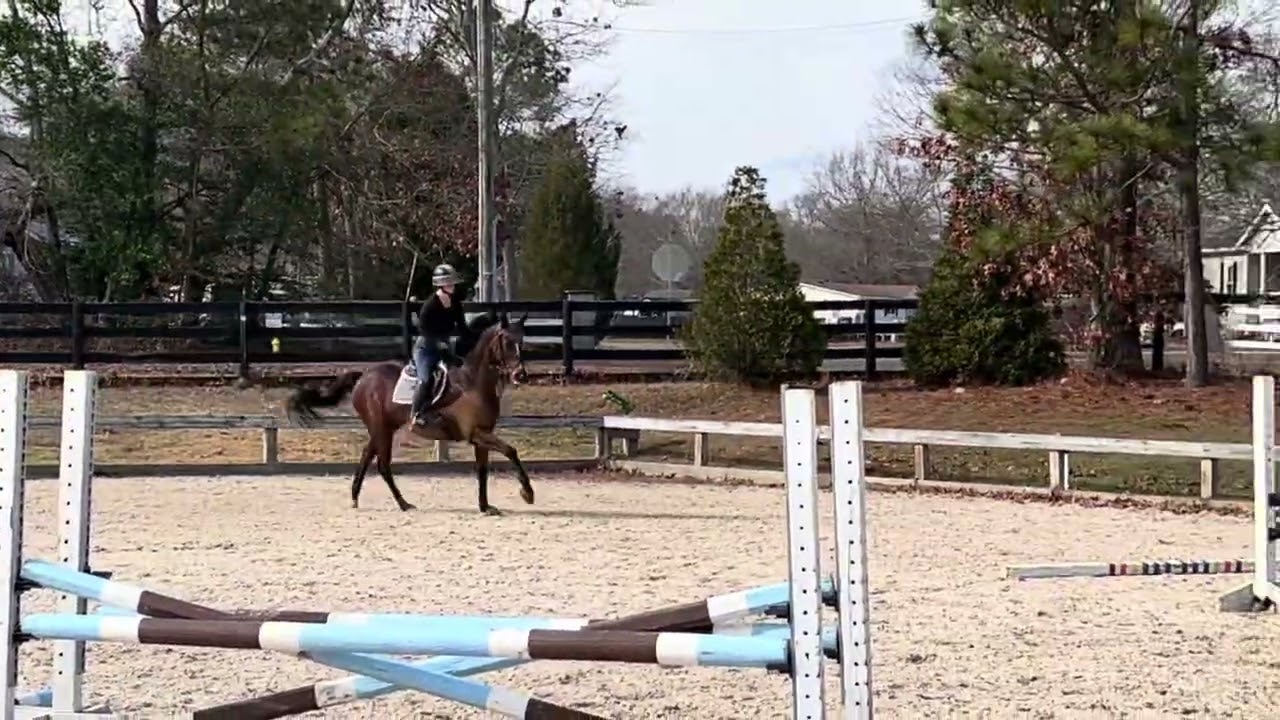 Diamond Bow Grid 1/26