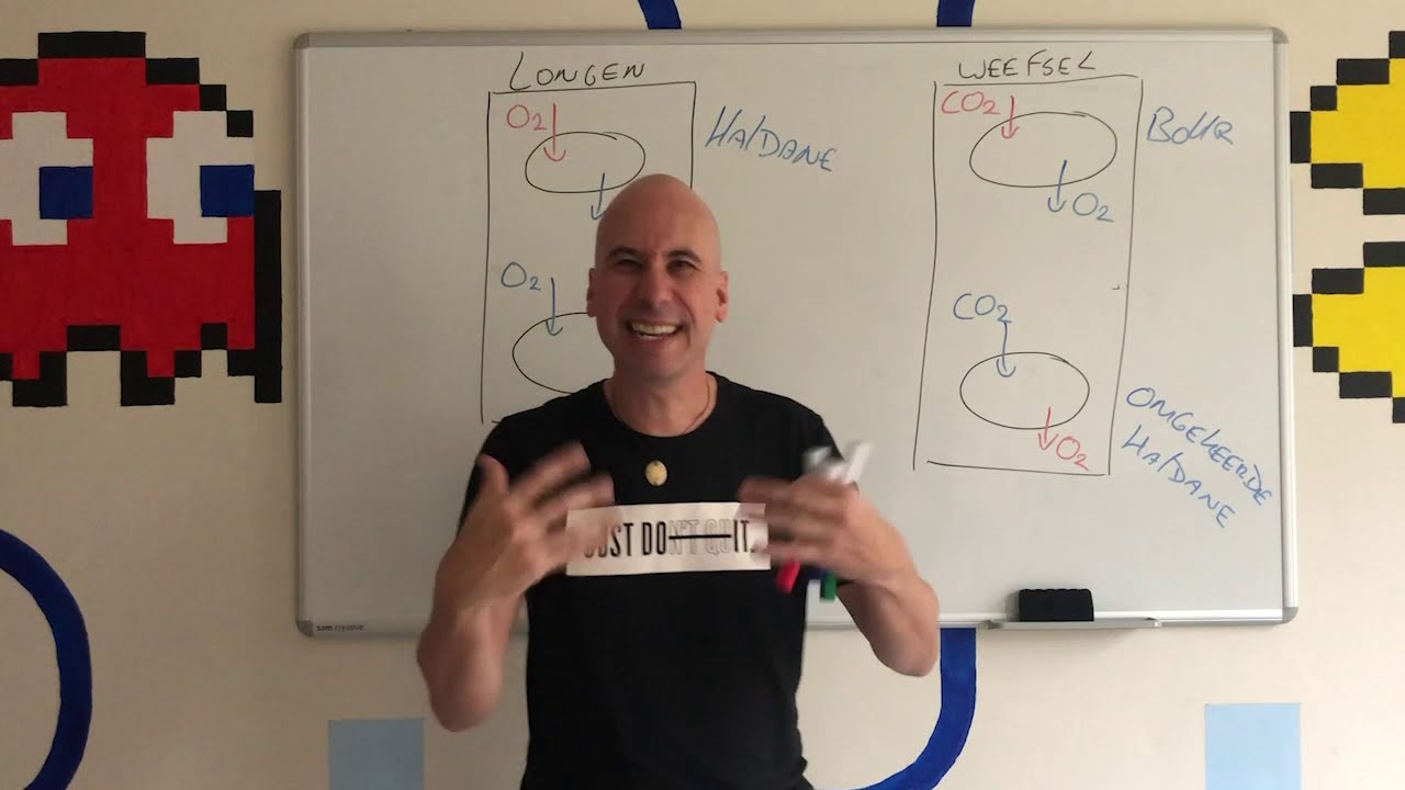 Bohr en Haldane eindelijk begrijpen?!
