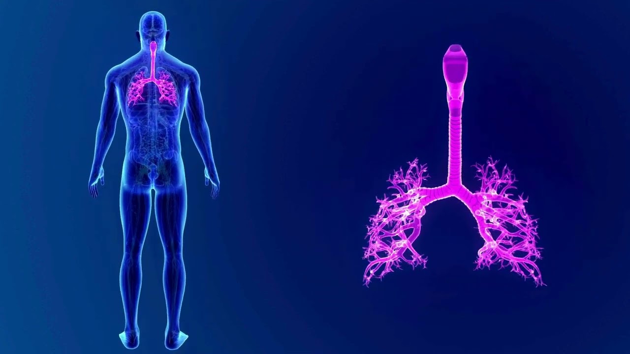Deep Soul Reset &ndash; Advanced 432 Hz Frequency to Heal & Cleanse Negative Energy