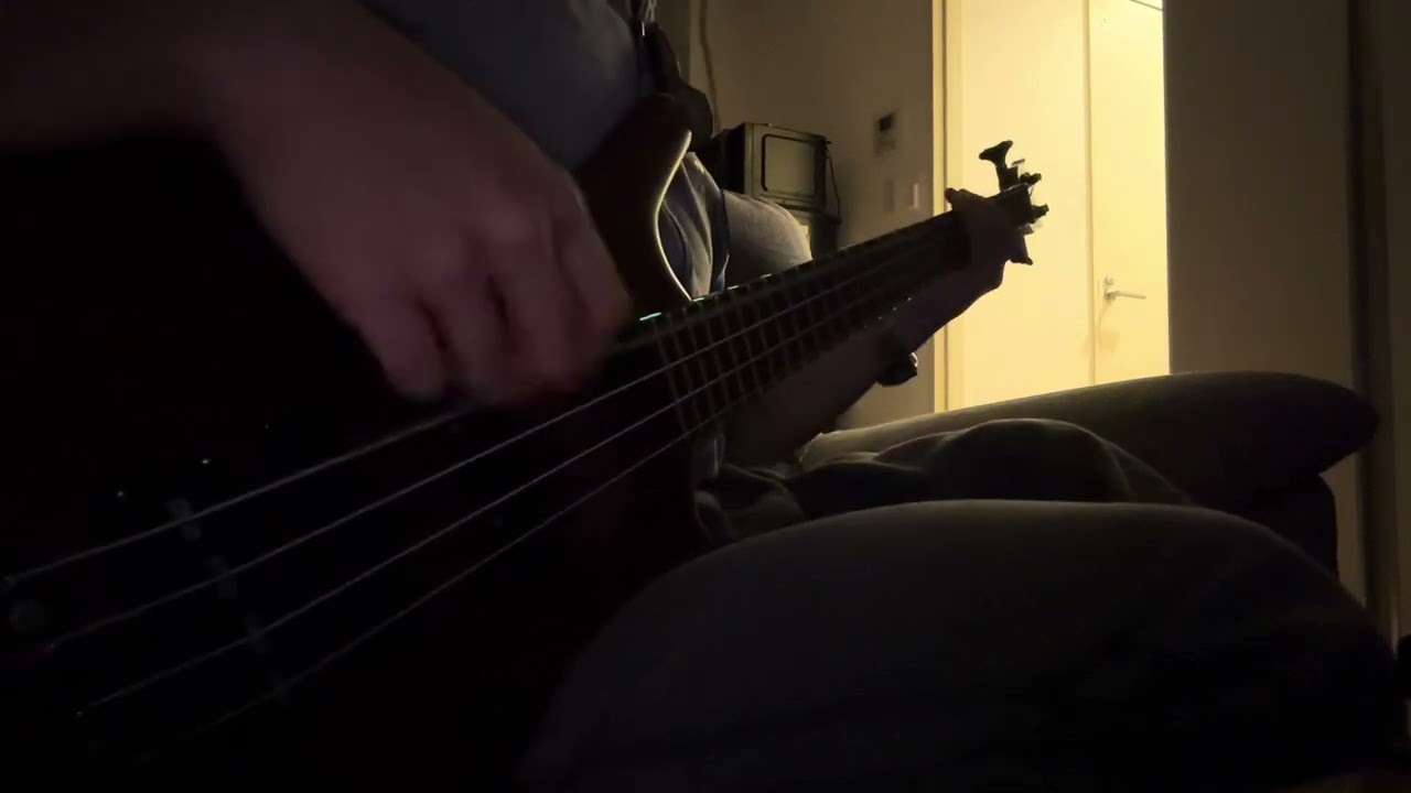 Limp Bizkit -The Truth (Bass Cover)