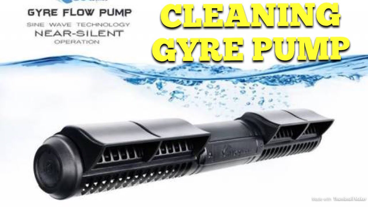 Cleaning Gyre 300 Series Pump