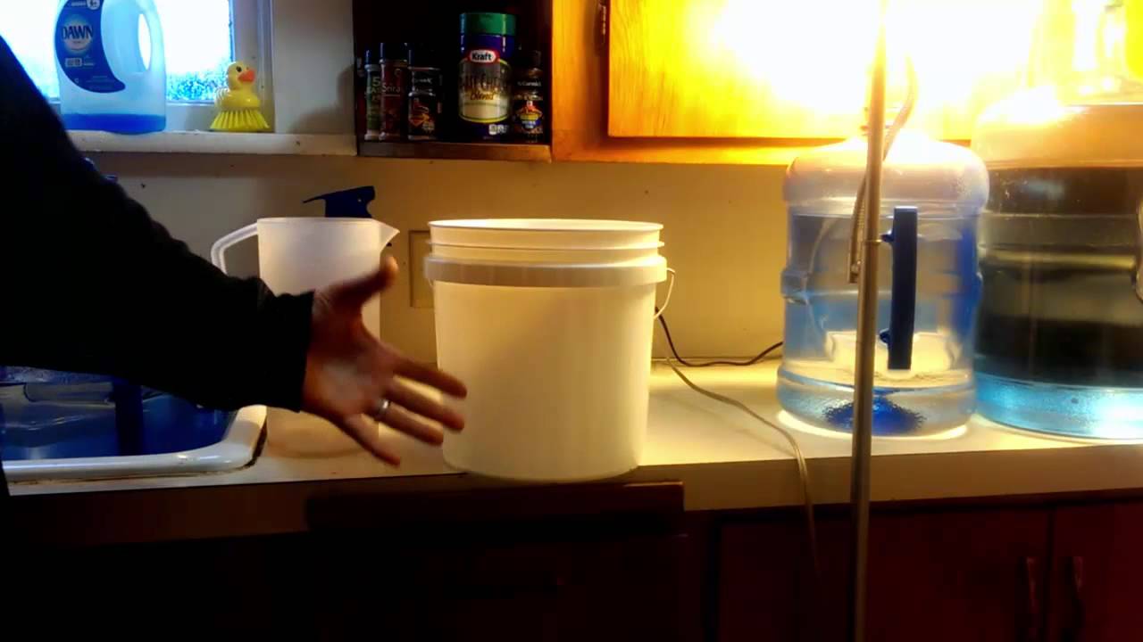 How to Grow in Hempy buckets: coco and perlite