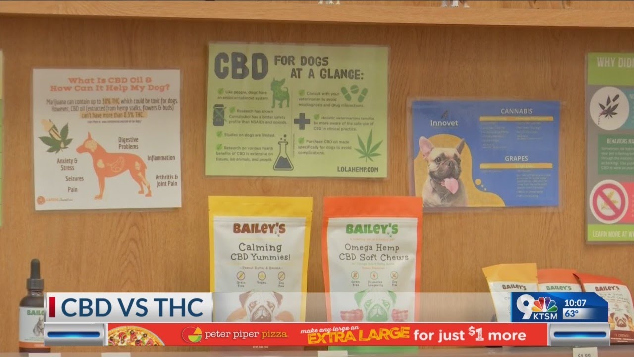 El Paso CBD shop owners weigh in on legal pot in New Mexico