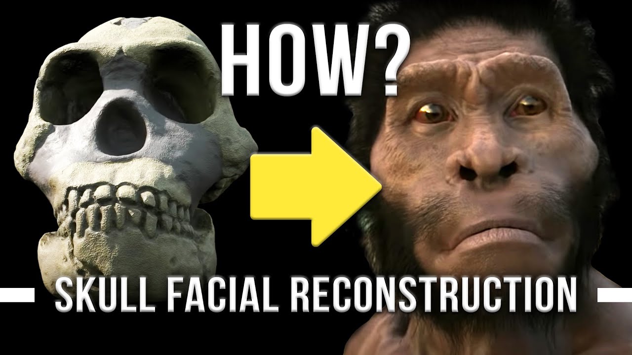 Реконструкция лица доисторического человека — Homo naledi | Метод Герасимова