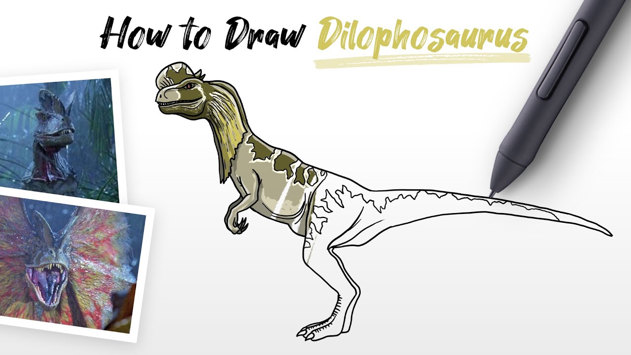 How to Draw Dilophosaurus dinosaur from Jurassic World Dominion and Jurassic Park easy Step by step