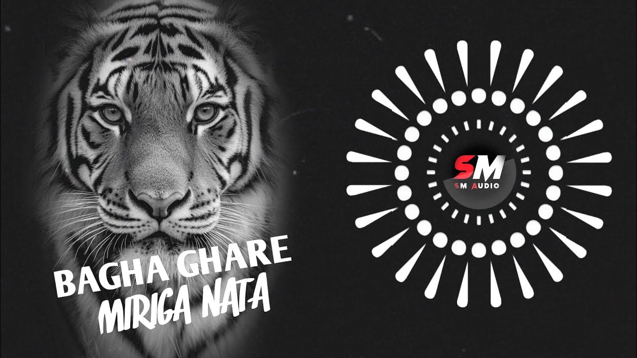 BAGHA GHARE MIRIGA NATA-DJ AMIT X DJ VICKY X SM AUDIO