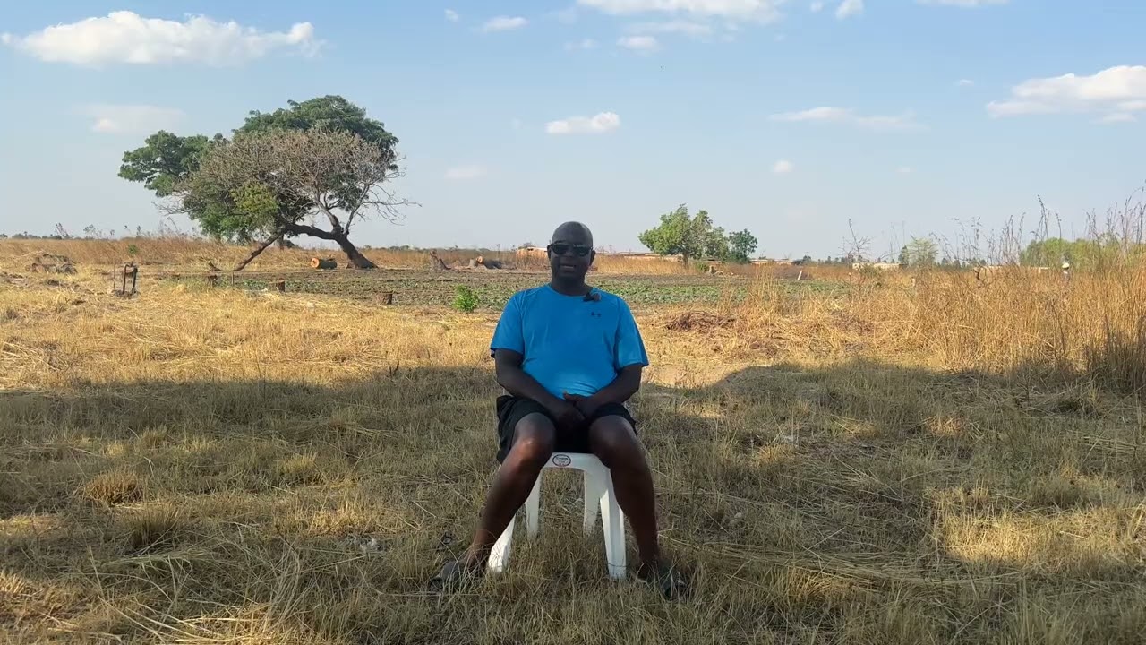 «Как скандал с кражей привёл к волне увольнений на моей ферме»