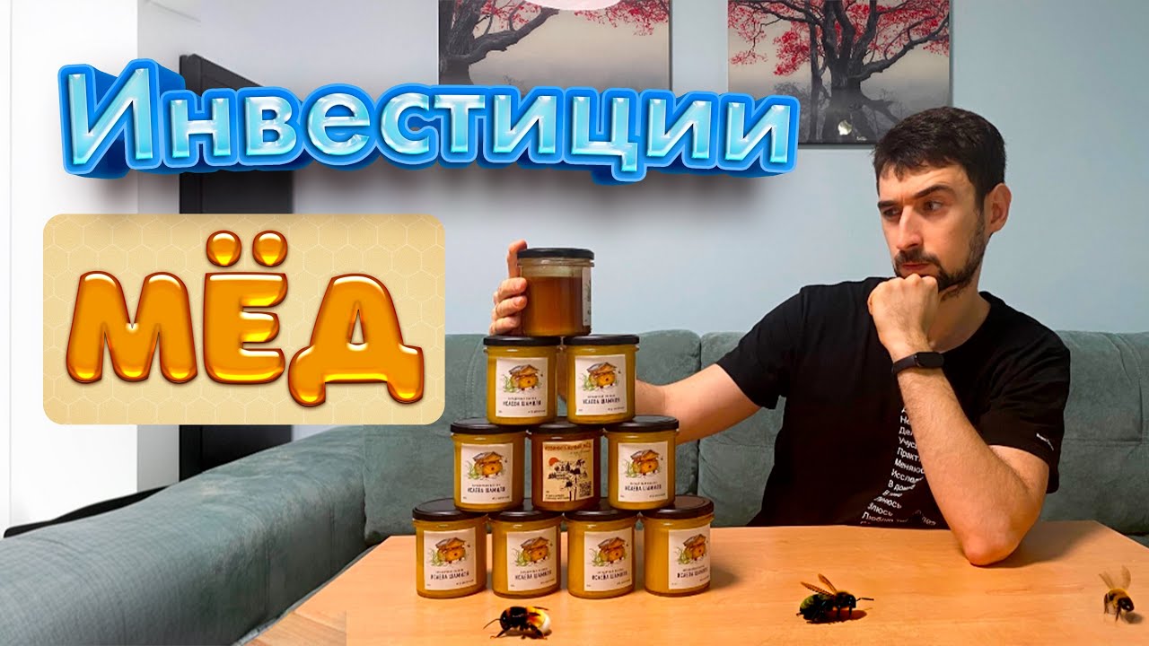Моя пасека, мёд и инвестиции: как заработать на пчёлах