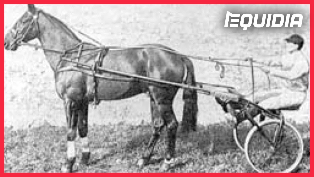 PRIX D'AMÉRIQUE, RETOUR SUR 100 ANS D'HISTOIRE !