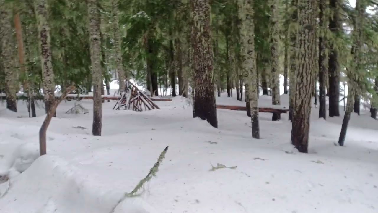 winter camping with jackFrog Lake 2023 wood collecting