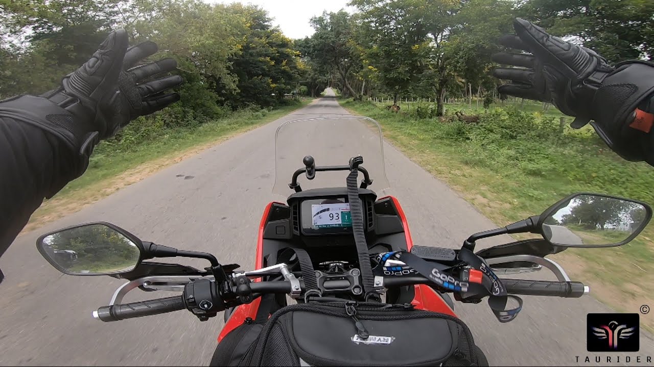 Bangalore  -  Ooty  | 2025 - Part 1 | Via Bandipur |