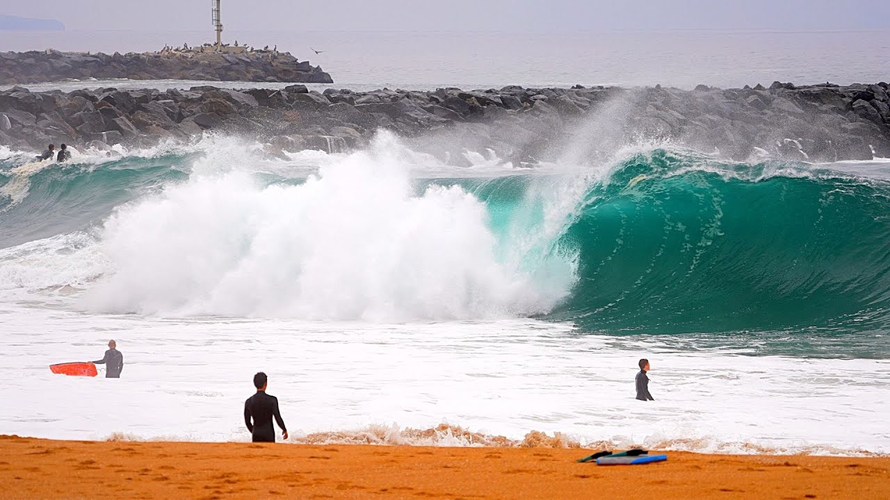 THE WEDGE ITS GETTING BETTER AND BETTER June 2021 Slow Motion 4K