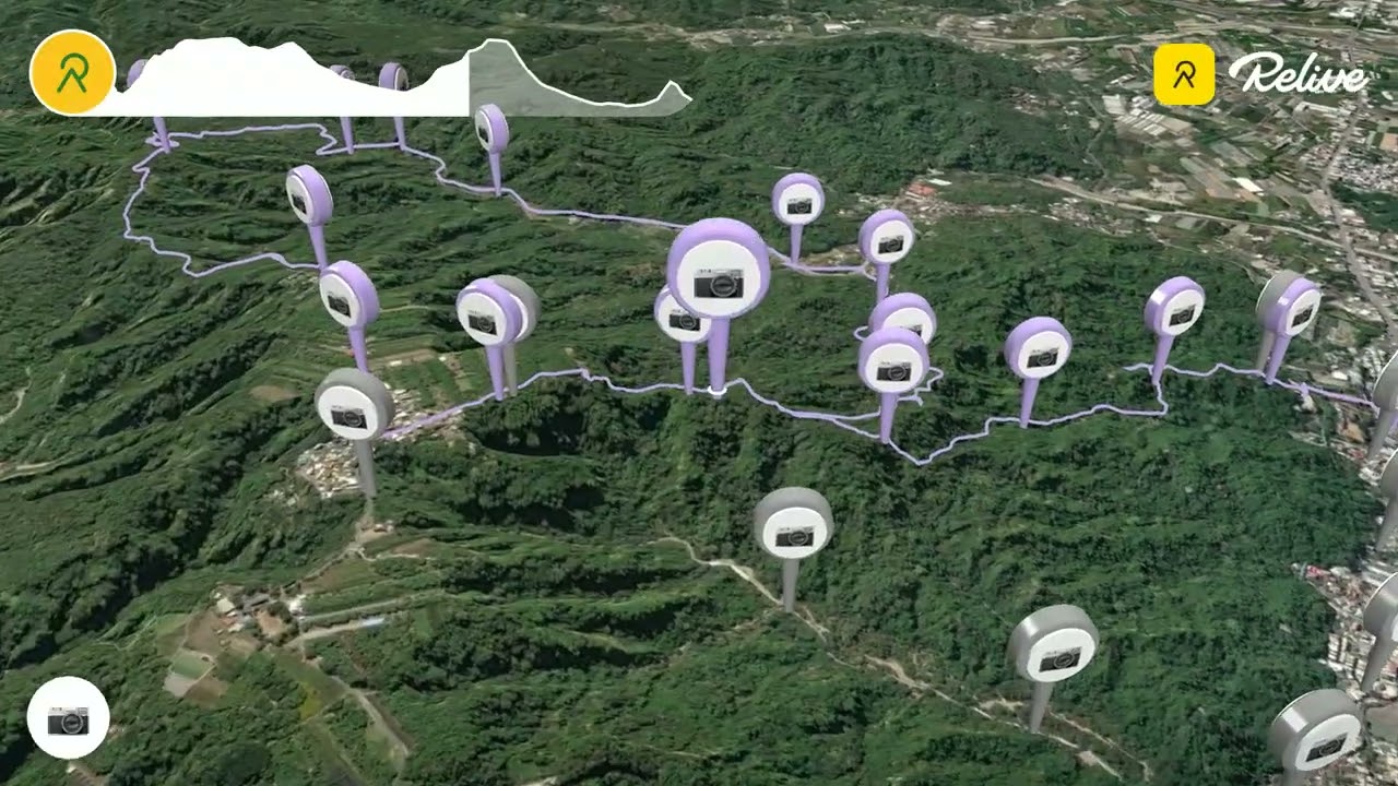 115.02.17.林內龍過脈森林步道+坪頂古道8字型大環走