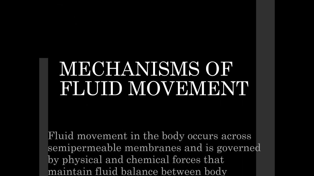 Mechanism of fluid movement in the body's fluid compartments 
