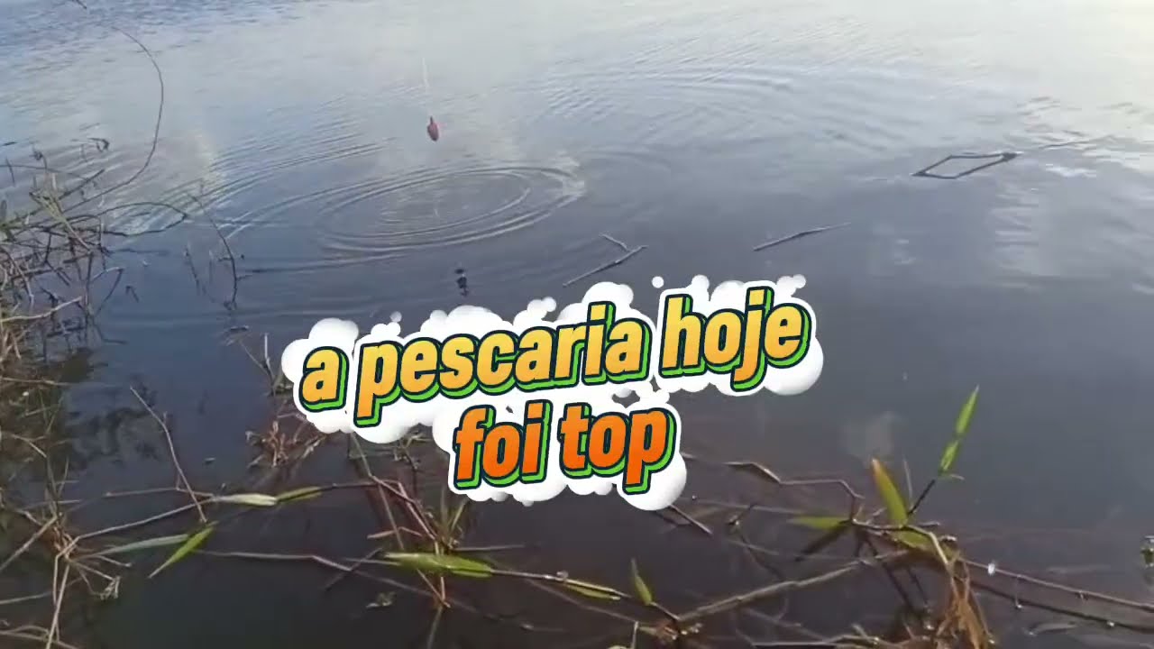 Paramos para pescar no meio da estrada, e deu muito peixe pessoal👍
