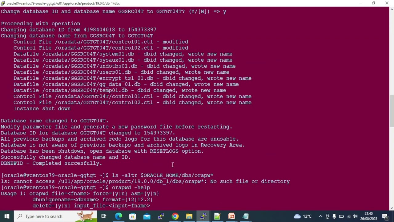Rename Oracle Database using nid