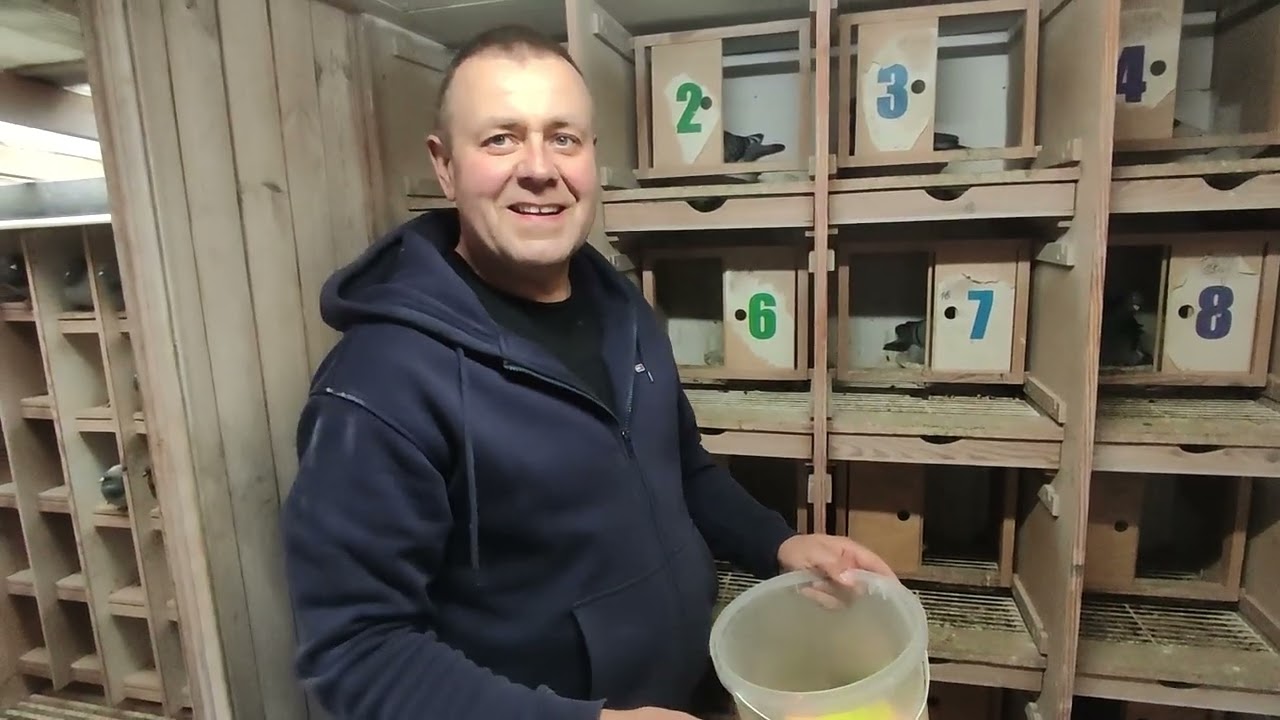 PTASI WYPAS - Krystian Chyła PZHGP 074 Kociewie - 07.04.2026 - młode jak pączki, losowanie gołębi...