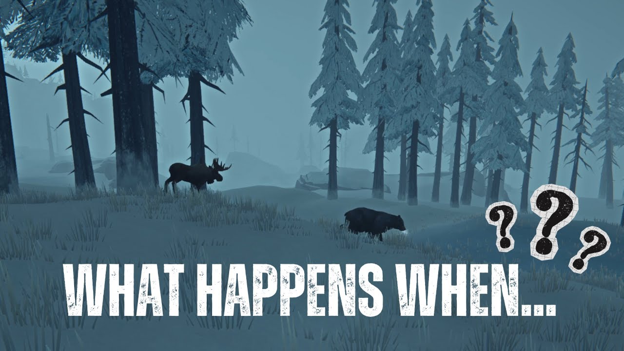 The Long Dark: Moose vs  Bear & Wolf vs  Timberwolves