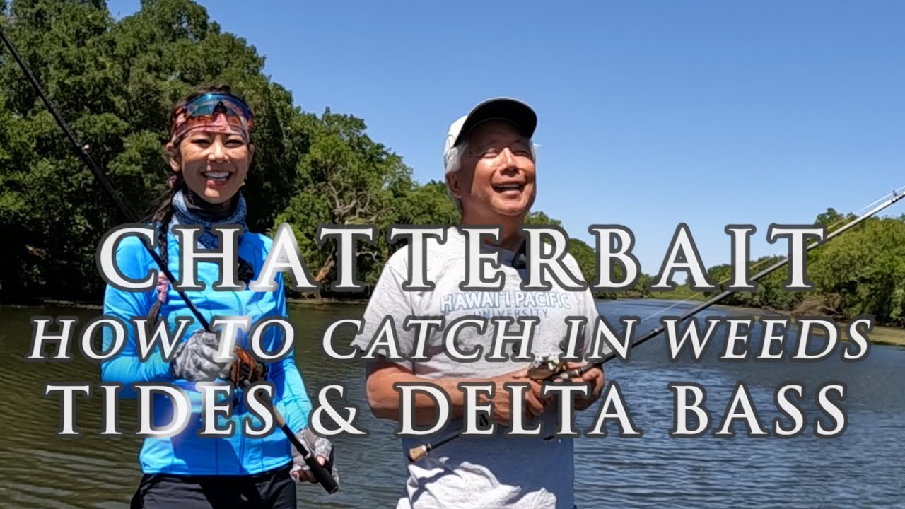 CHATTERBAIT & BLADED JIGS - Fishing Weeds in California Delta at High & Low Tides