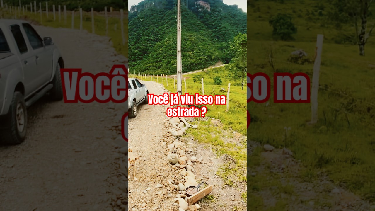 Você já viu isso na estrada?