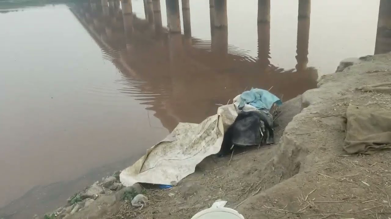 Fish video Darya Ravi Lahore Update vlog 