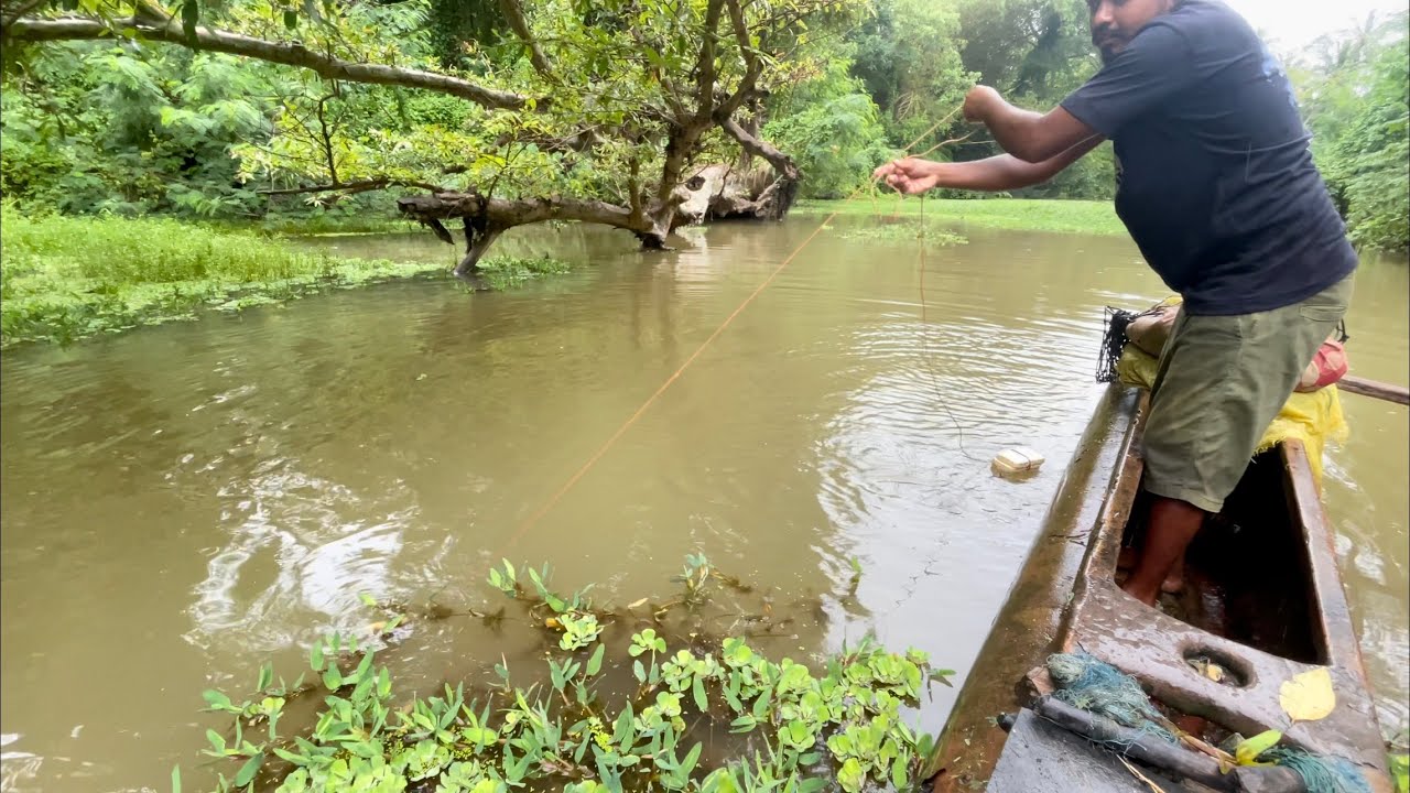 Wow!!!Sri Lankan🇱🇰traditional rive fishing video