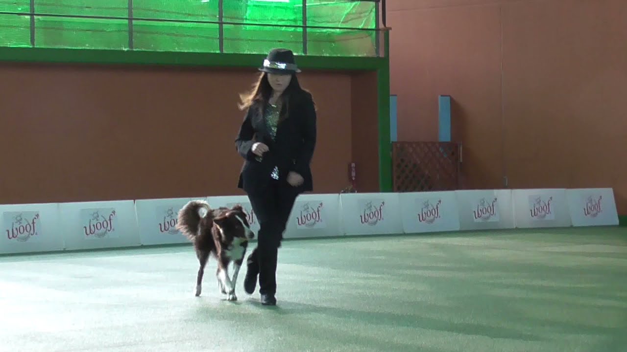 ニコル＆Vincent：ドッグダンスコンペダイジェスト　JODC20210410
