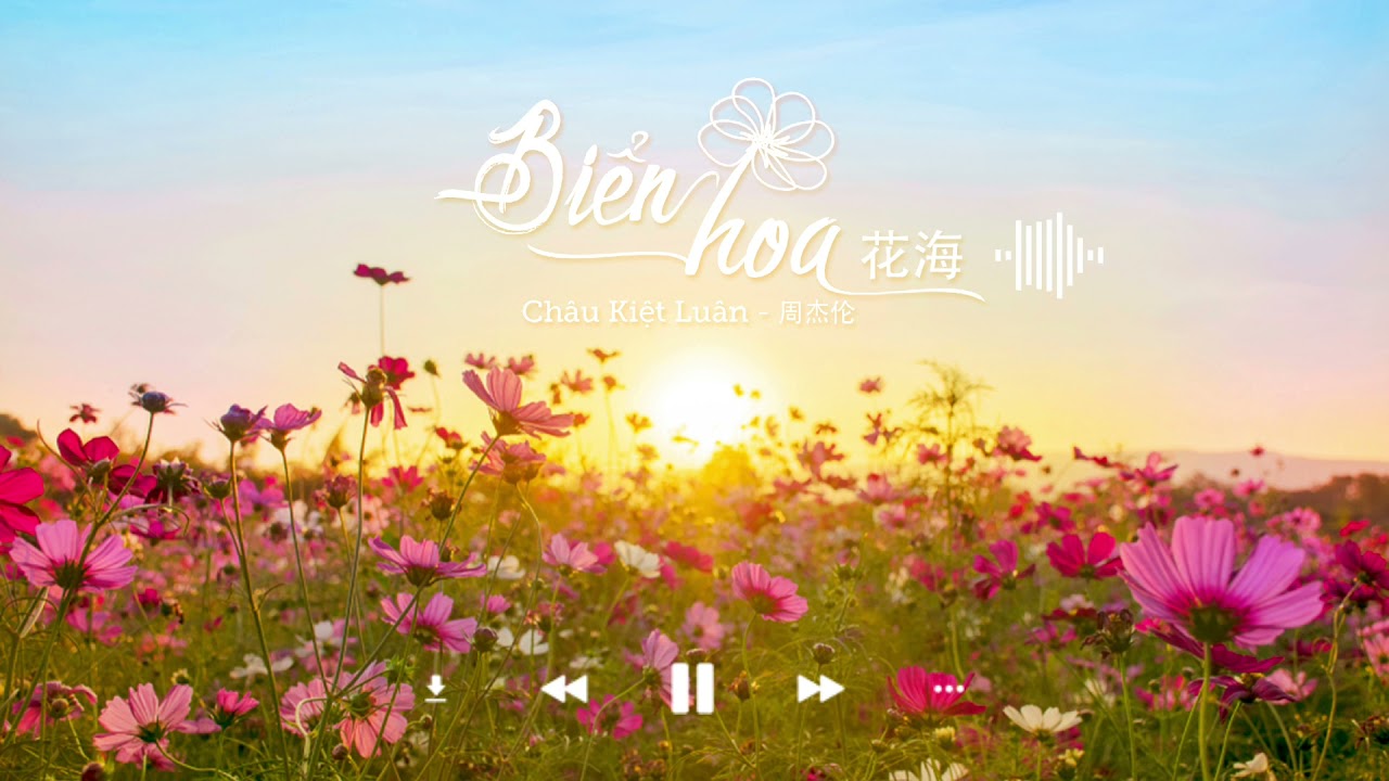 Biển hoa (花海) - Châu Kiệt Luân (周杰伦) 《Violin》