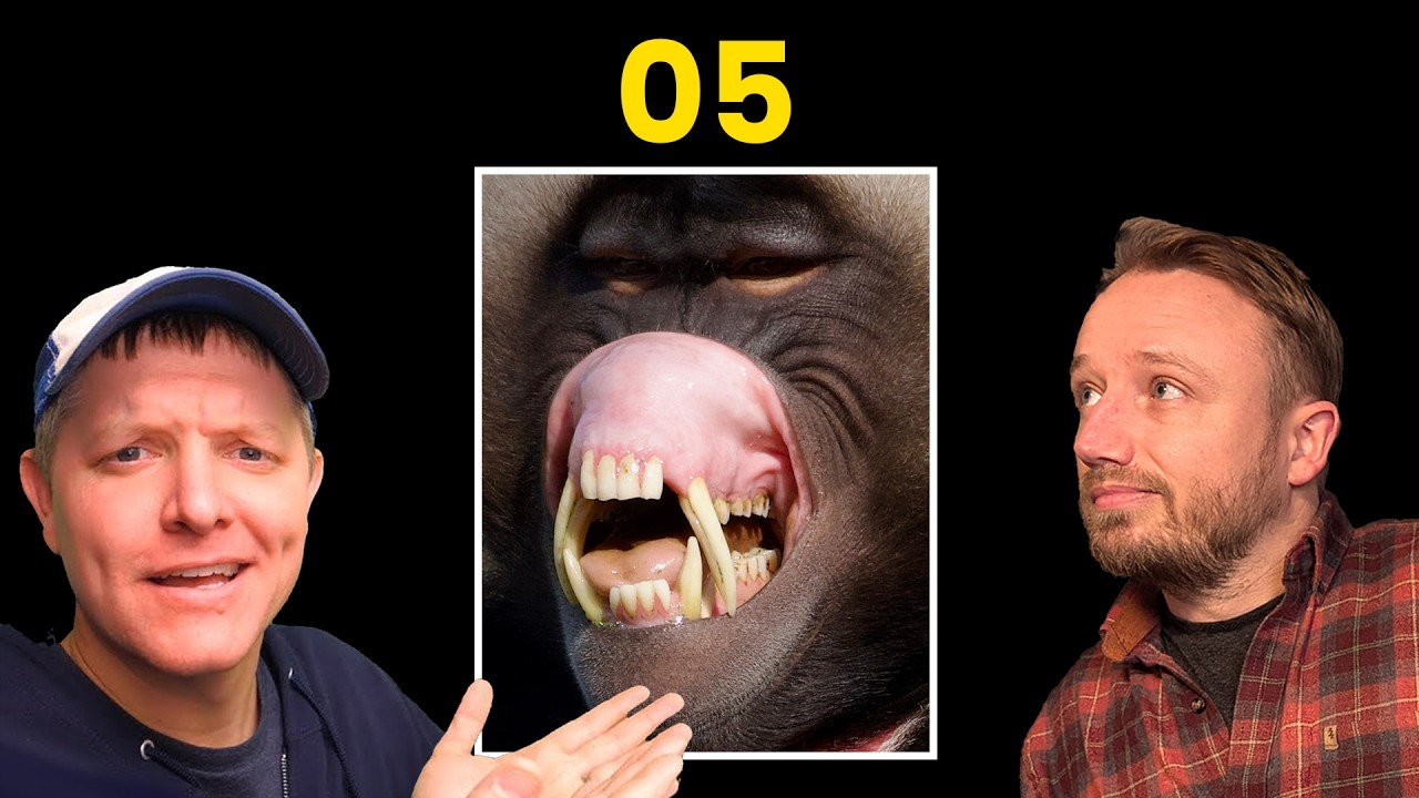 Эволюция жгутиков 05: Раскрыта неупрощаемая сложность