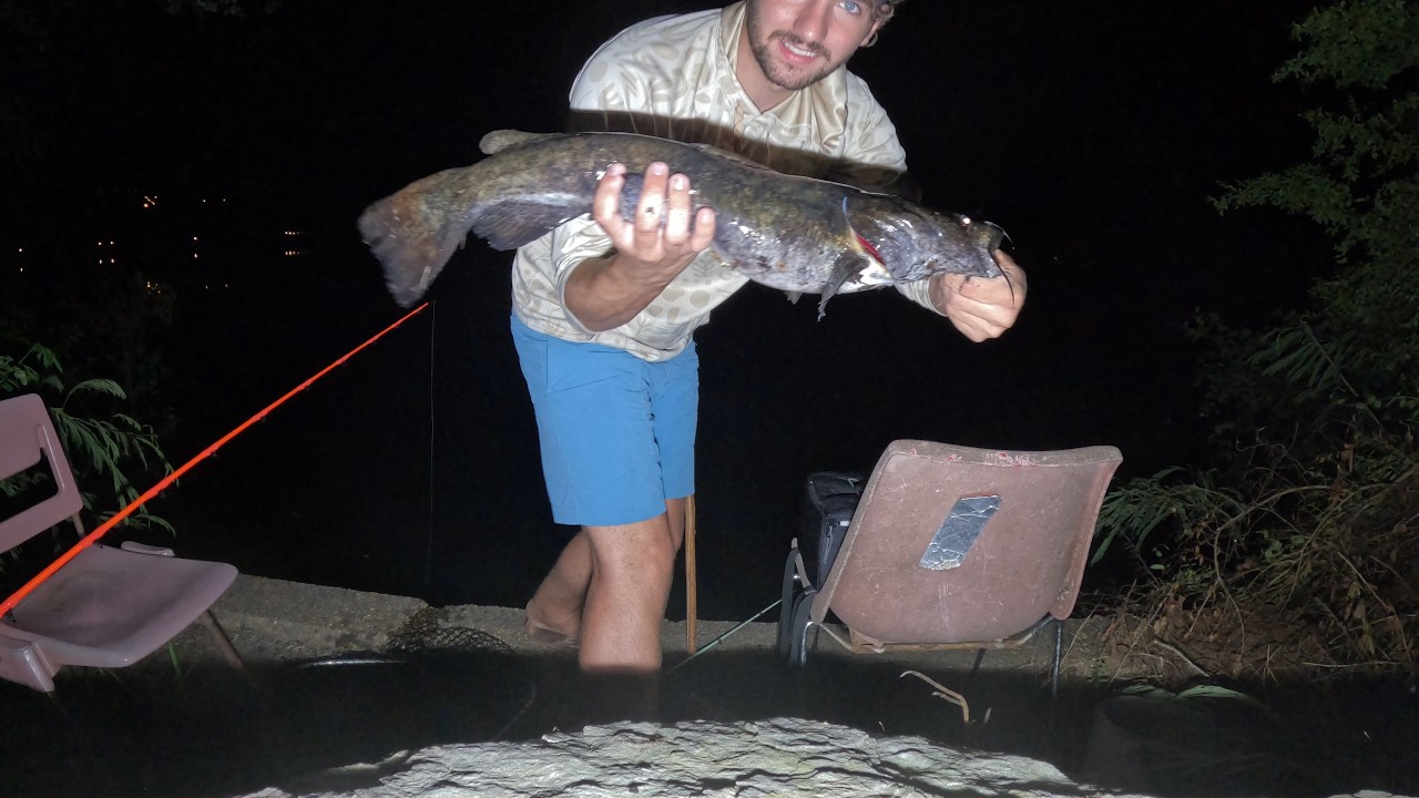Catfish and Gar, Fishing Smith Lake Alabama P1
