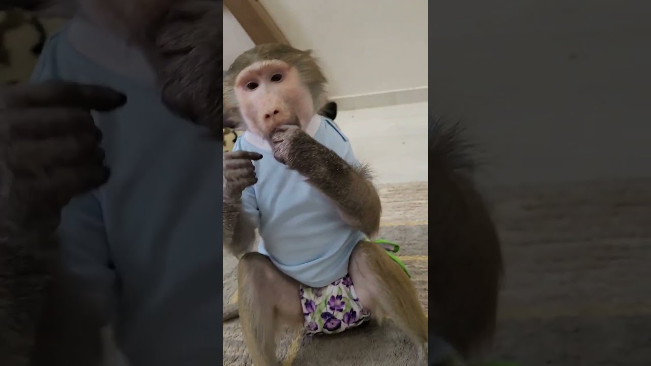 Просто всем хорошего настроения ❤️