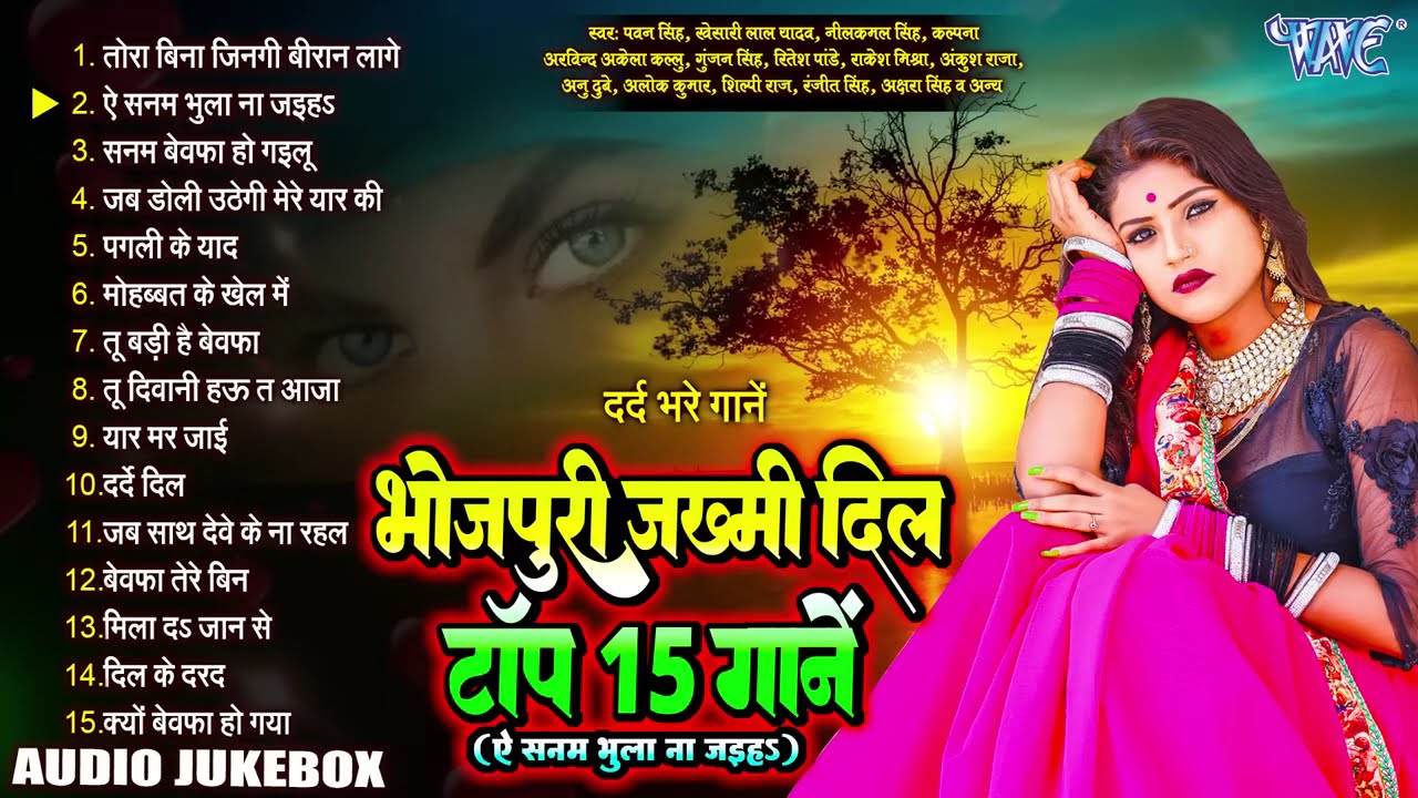 Bhojpuri Zakhmi Dil Hit Songs 2024 ||   भोजपुरी ज़ख़्मी दिल टॉप 15 गानें | Nonstop Top15 Sad Songs2024