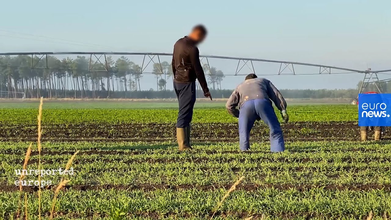 France : dans l'enfer des exploitations agricoles
